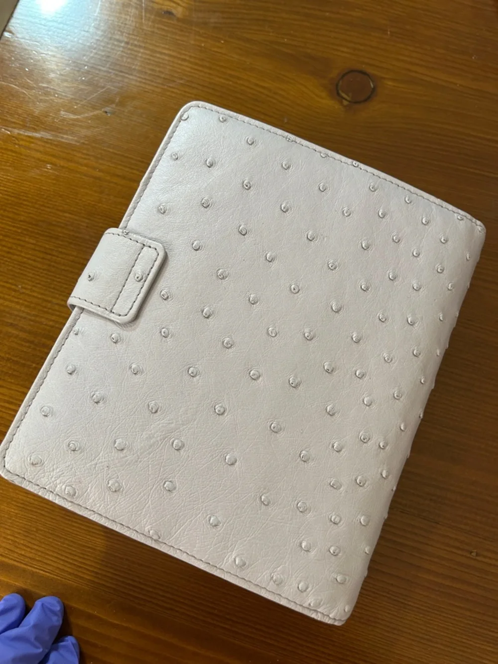 VDS ostrich planner